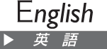 english site